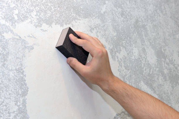 Best Mold Removal for HVAC Installations  in Olivia, MN