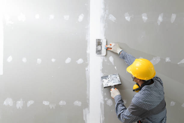 Best Mold Documentation for Insurance Claims  in Olivia, MN