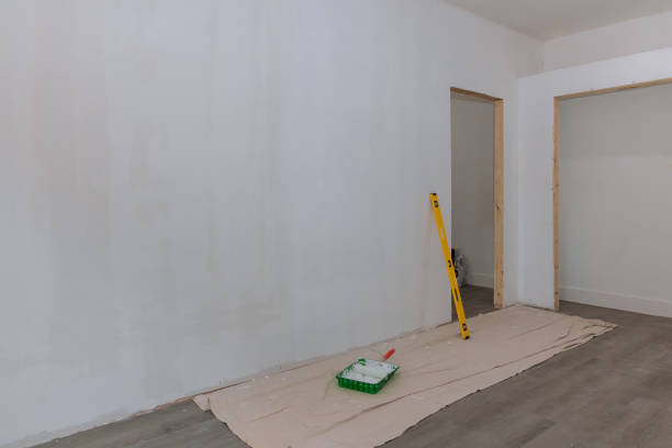 Best Emergency Mold Remediation  in Olivia, MN